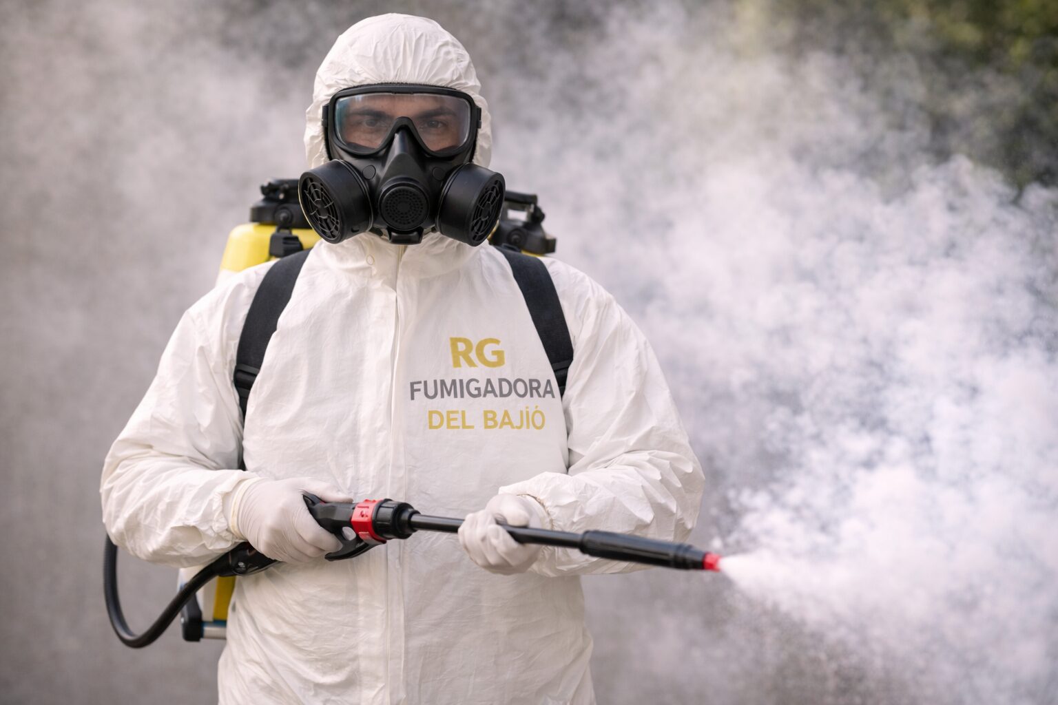 chatgpt image 5 ene 2026, 23 09 14